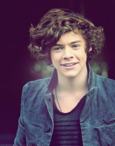 harry-styles-harry-styles-25173237-488-624_large.jpg